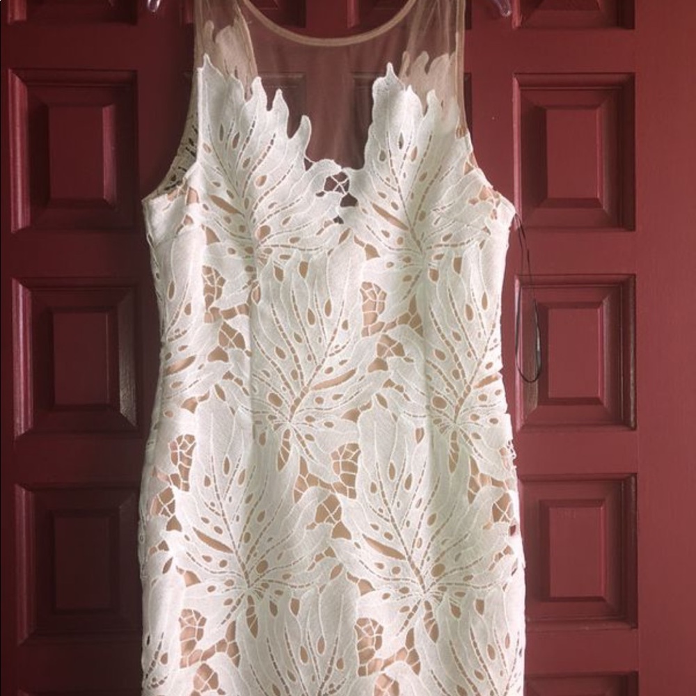 Forever 21 Lace Bodycon Dress in White and Nude